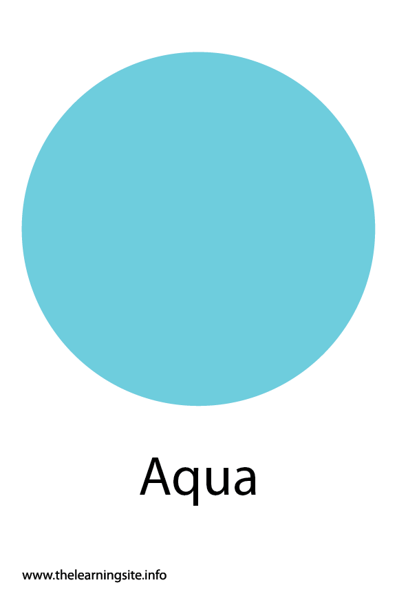 Aqua Color Flashcard The Learning Site