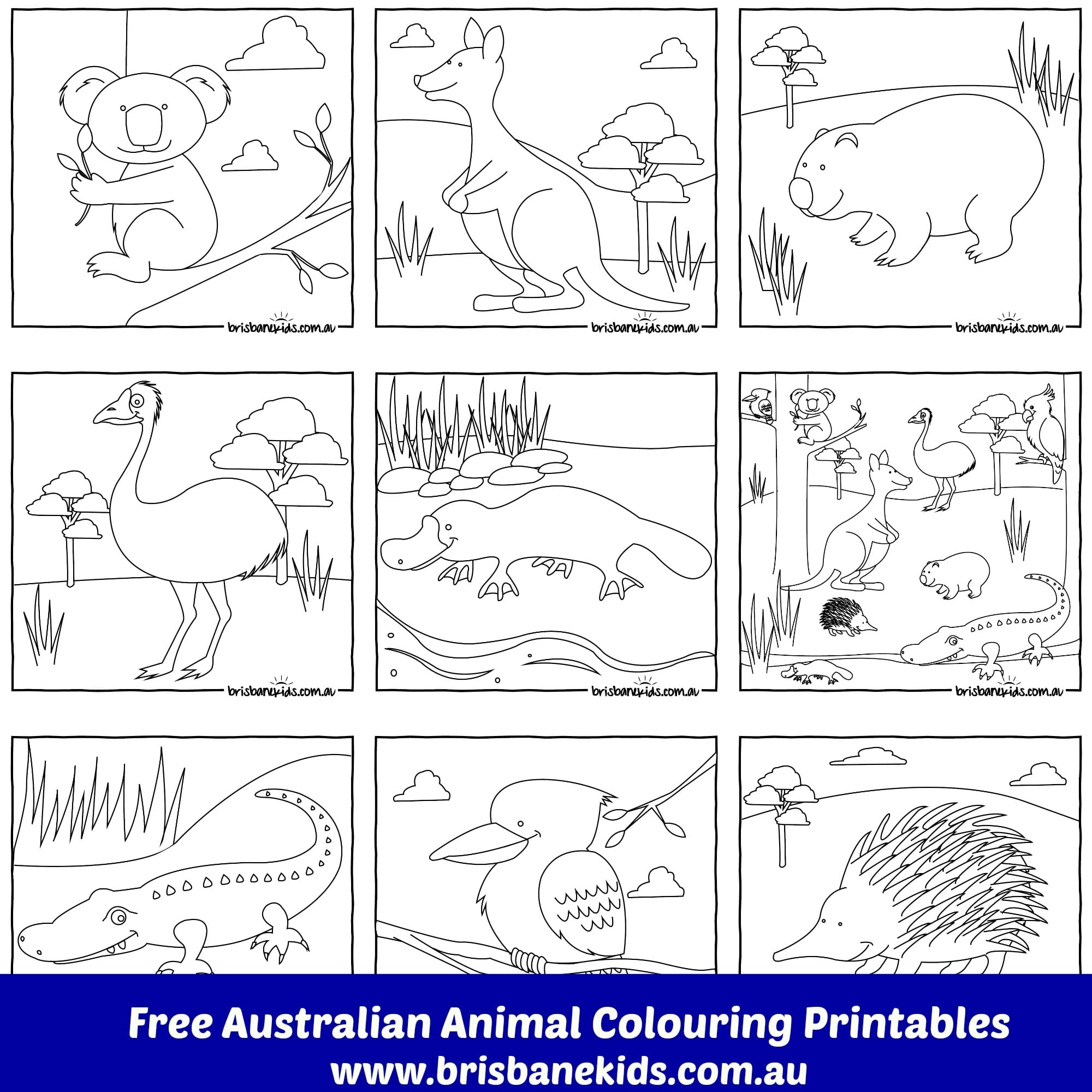 Australian Animals Colouring Pages Brisbane Kids Australian Animals Colouring Pages Brisbane Kids