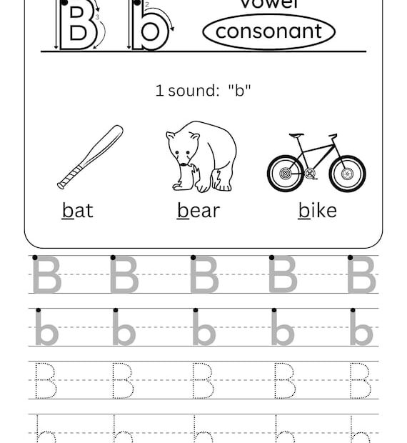 B Is For Bird Coloring Free Letter B Tracing Worksheet PDF