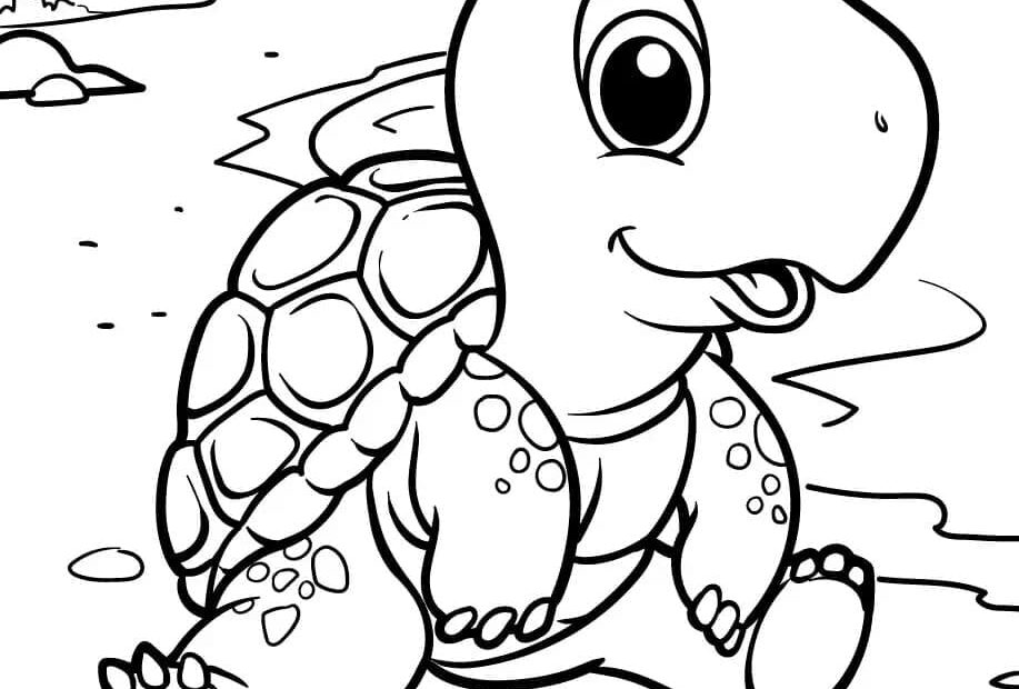 Baby Turtle Coloring Page Download Print Or Color Online For Free