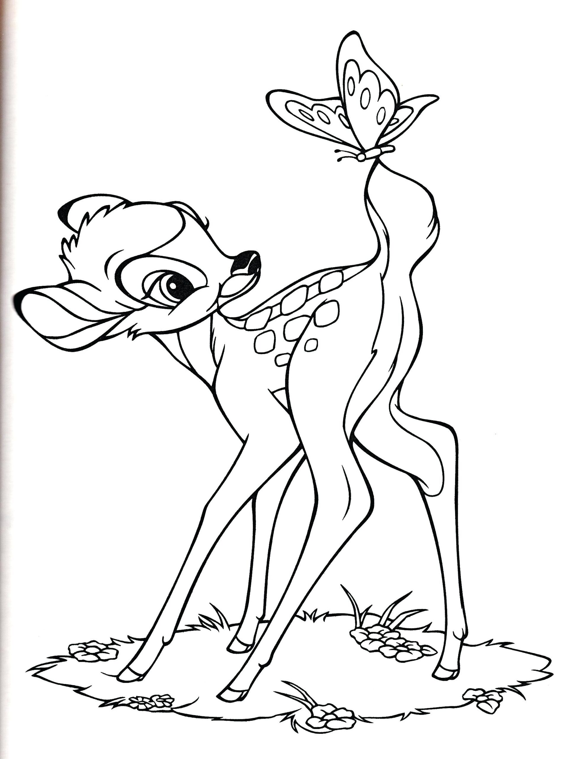 Bambi Adult Coloring Pages Bambi Adult Coloring Pages
