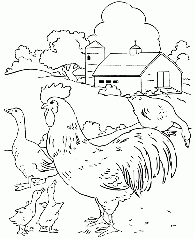 Barnyard Coloring Pages Coloring Home Barnyard Coloring Pages Coloring Home