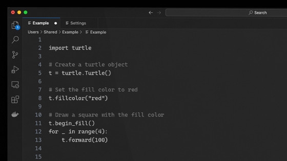 Basic Example Of Python Function Turtle reset