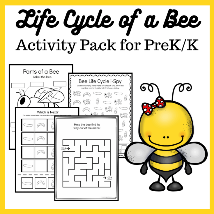 Bee Life Cycle Printable Homeschool Preschool Shop Bee Life Cycle Printable Homeschool Preschool Shop