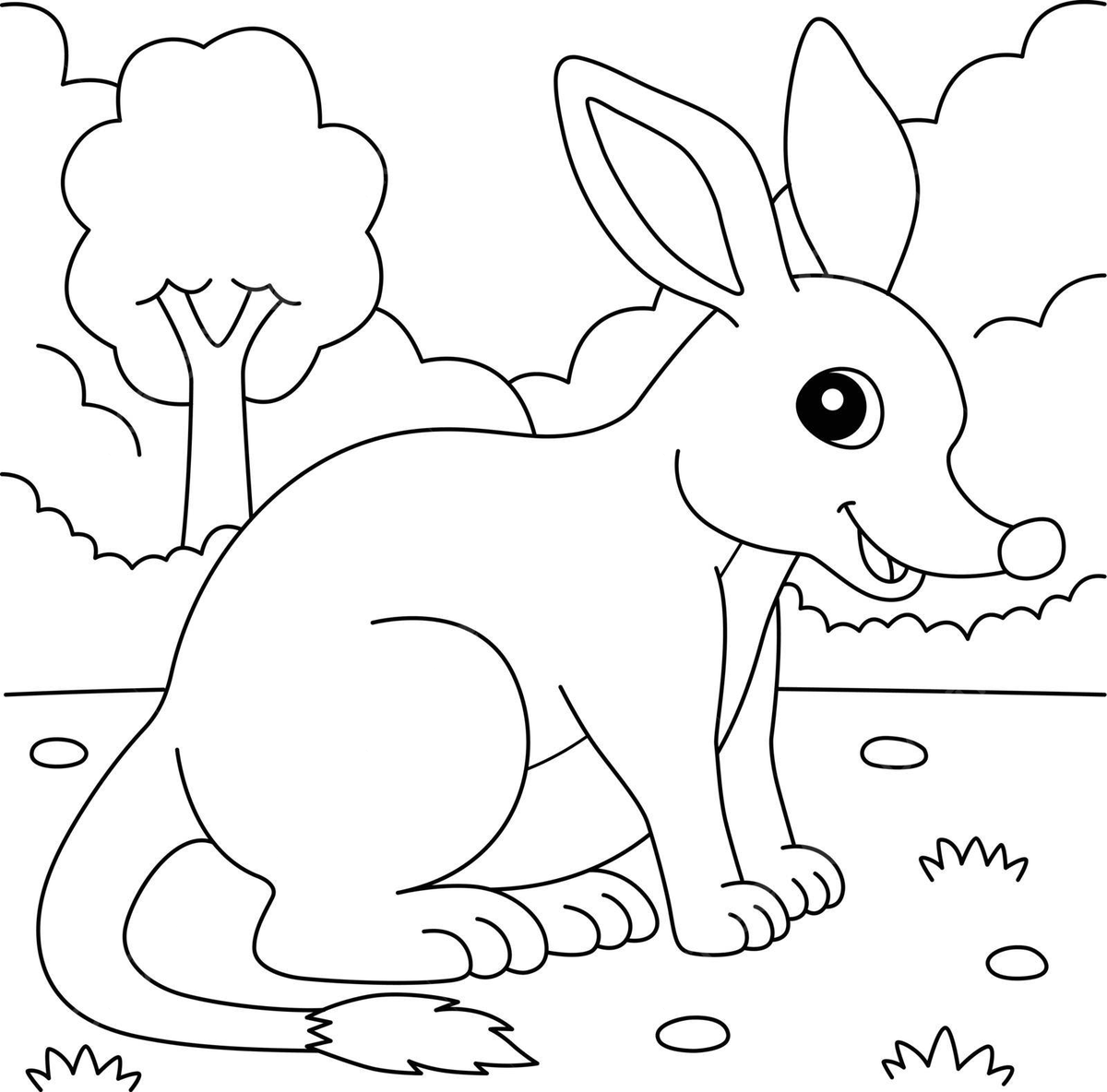 Bilby Animal Coloring Page For Kids Animal Color Macrotis Vector Bilby Animal Coloring Page For Kids Animal Color Macrotis Vector