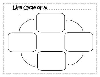 Blank Life Cycle Template Blank Life Cycle Template
