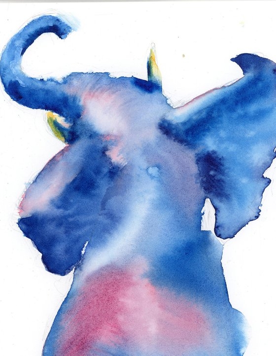 bright color animals bright color animals