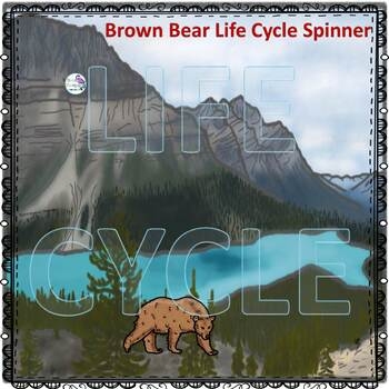Brown Bear Life Cycle Spinner By Donna Thompson TpT Brown Bear Life Cycle Spinner By Donna Thompson TpT