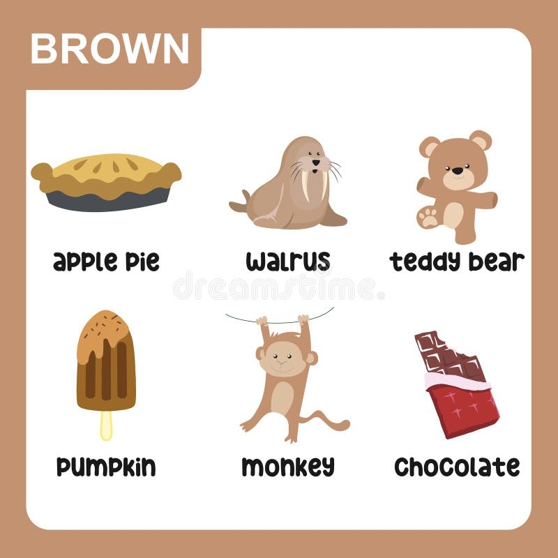 brown color flashcard brown color flashcard