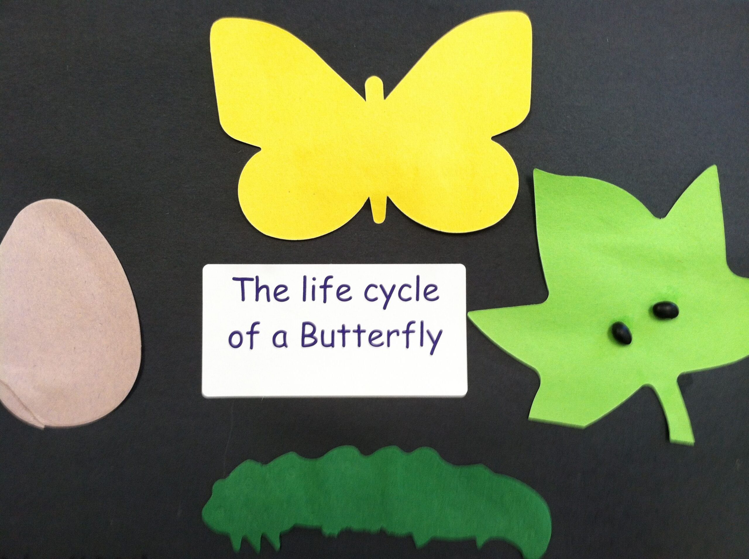 Butterfly Activities For Preschoolers Engaging And Educational Fun Butterfly Activities For Preschoolers Engaging And Educational Fun