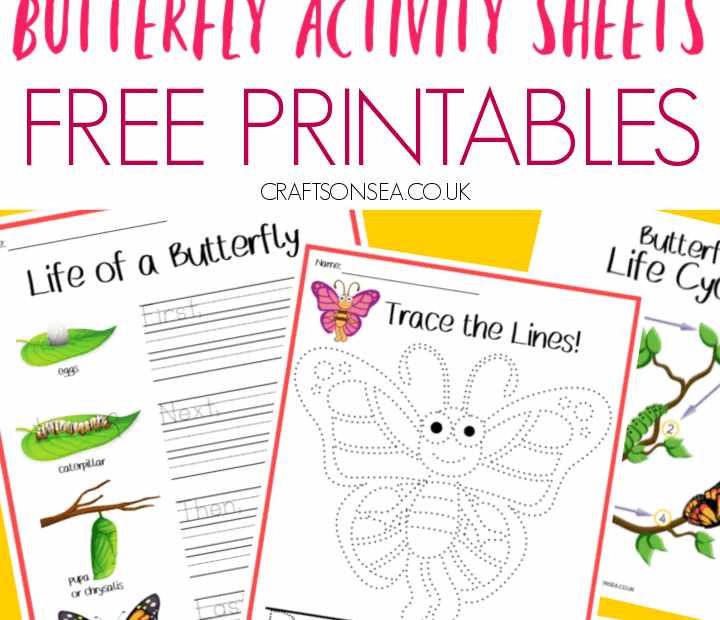 Butterfly Activity Sheets FREE Printables Butterflies Activities