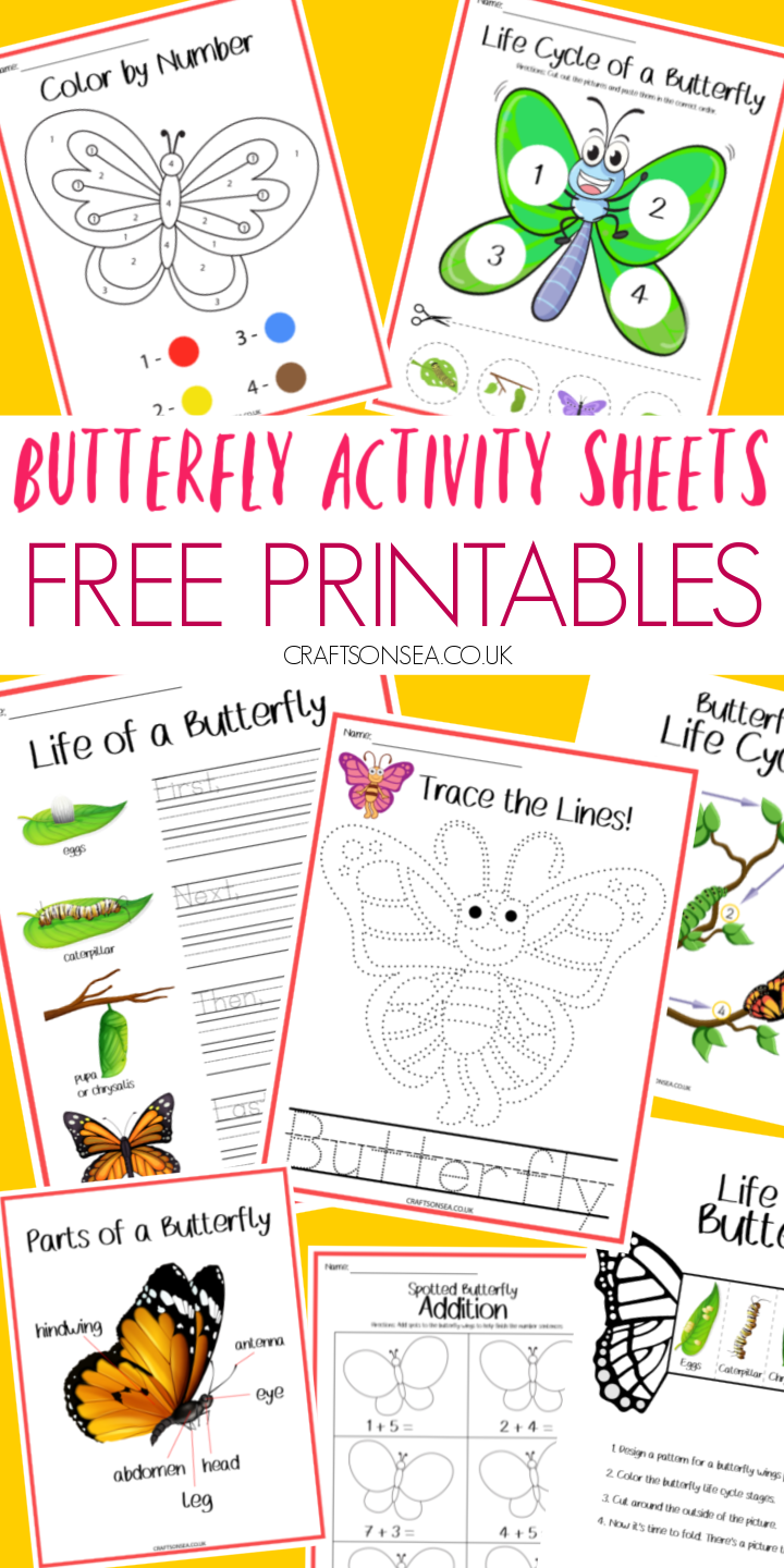Butterfly Activity Sheets FREE Printables Butterflies Activities Butterfly Activity Sheets FREE Printables Butterflies Activities