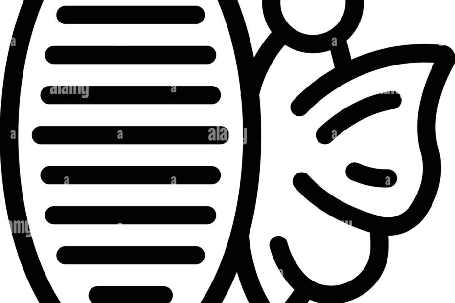 Butterfly Cocoon Icon Outline Vector Butterfly Transformation Insect
