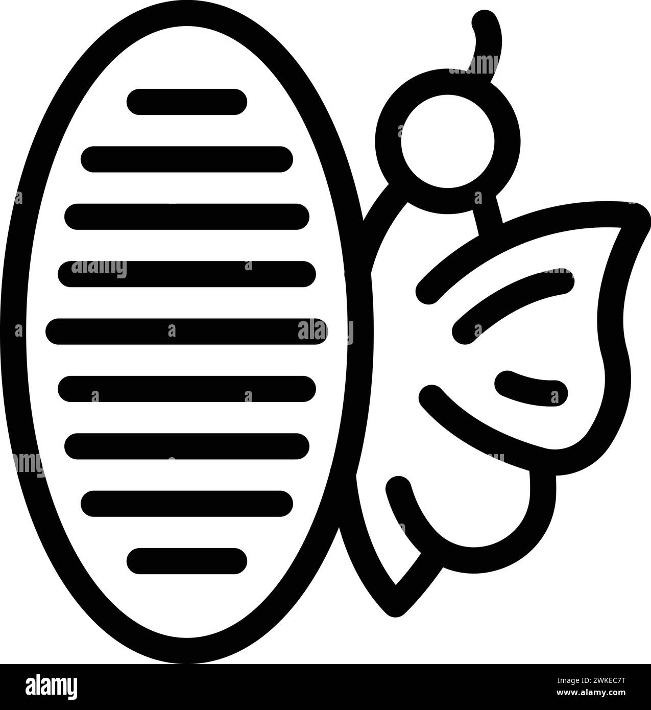Butterfly Cocoon Icon Outline Vector Butterfly Transformation Insect 