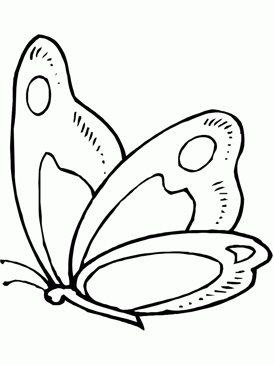 Butterfly Coloring Pages And Printables Animal Coloring Pages Butterfly Coloring Pages And Printables Animal Coloring Pages