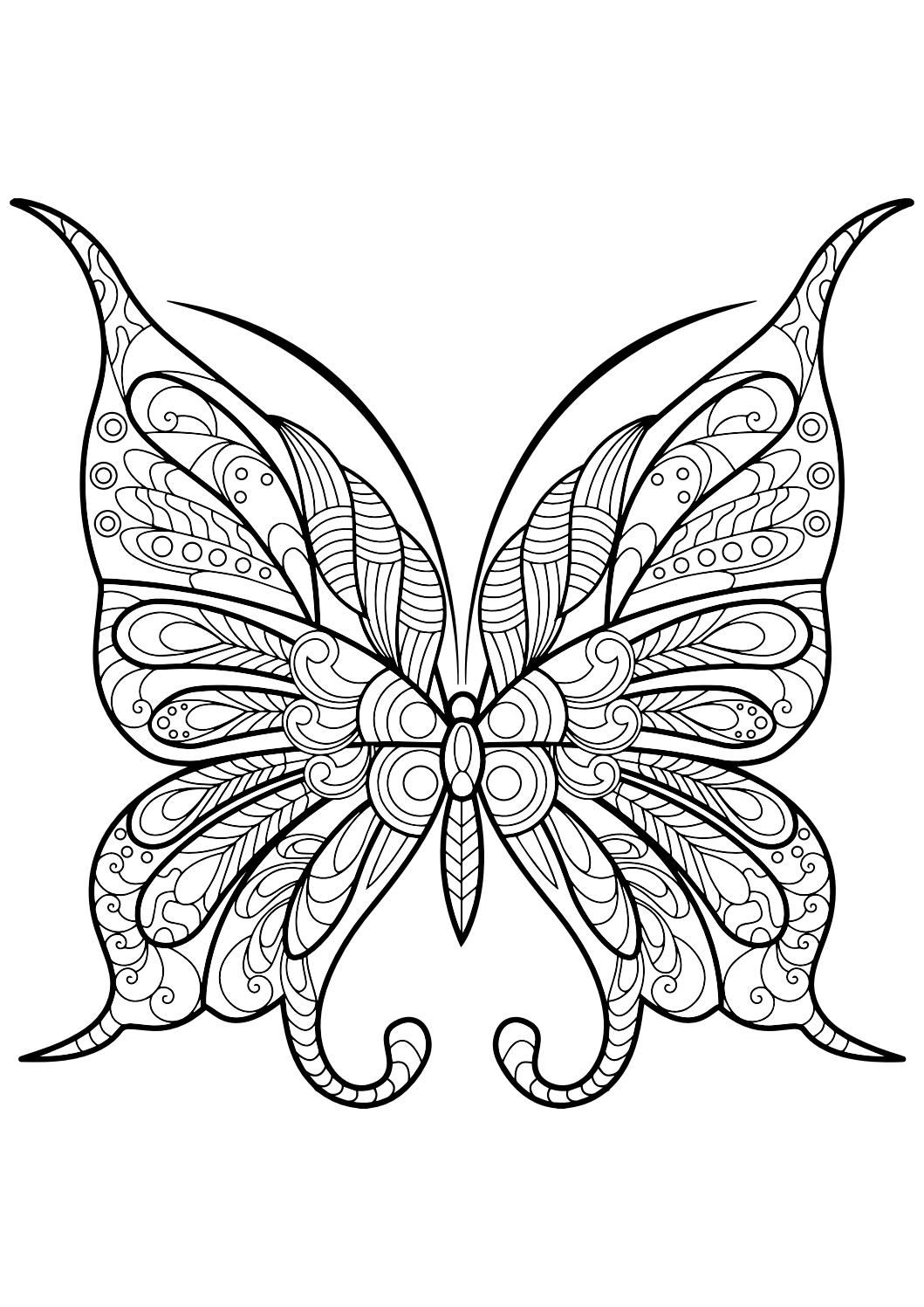 Butterfly Coloring Pages Butterfly Coloring Page Butterfly Drawing 