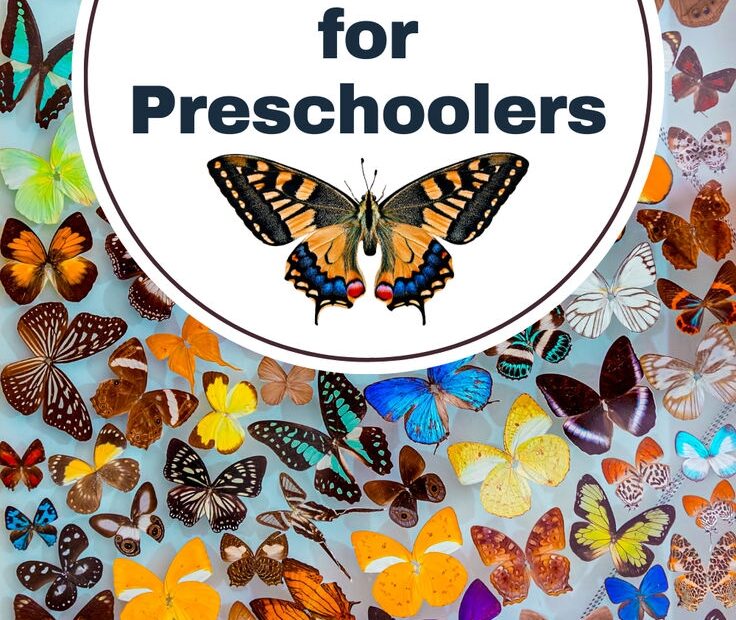Butterfly Lesson Plan For Preschoolers