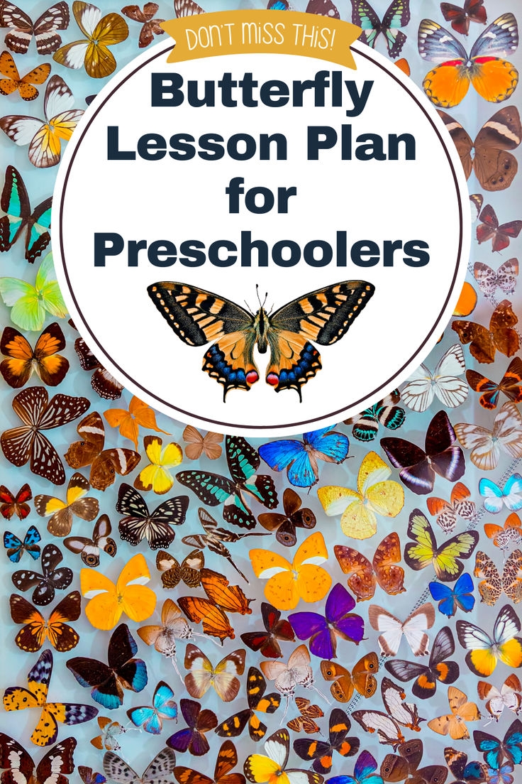 Butterfly Lesson Plan For Preschoolers Butterfly Lesson Plan For Preschoolers
