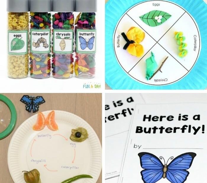 Butterfly Life Cycle Activities The Kids Will Love Fun A Day