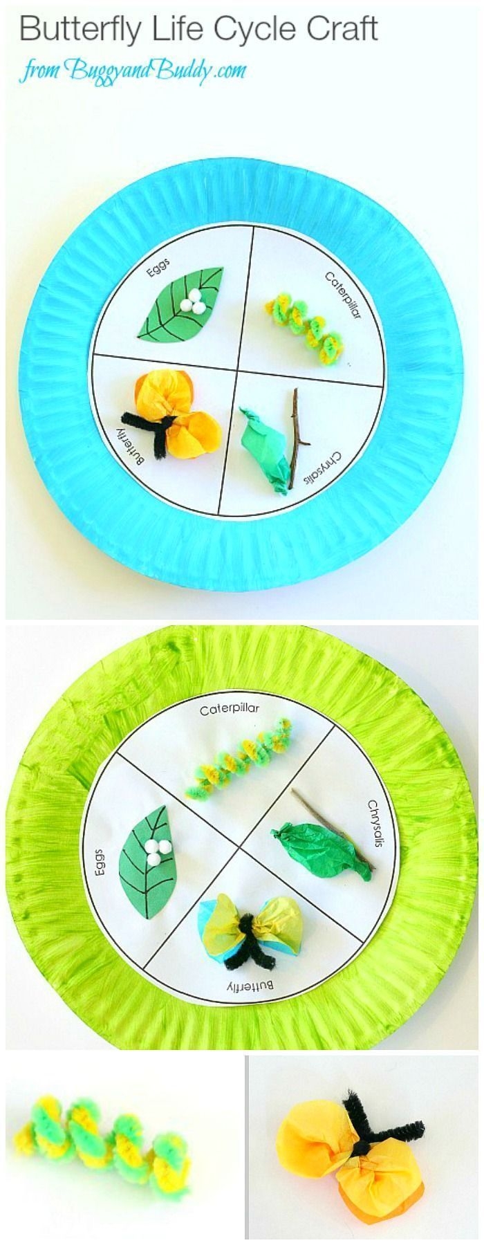 Butterfly Life Cycle Activity Butterfly Life Cycle Activity