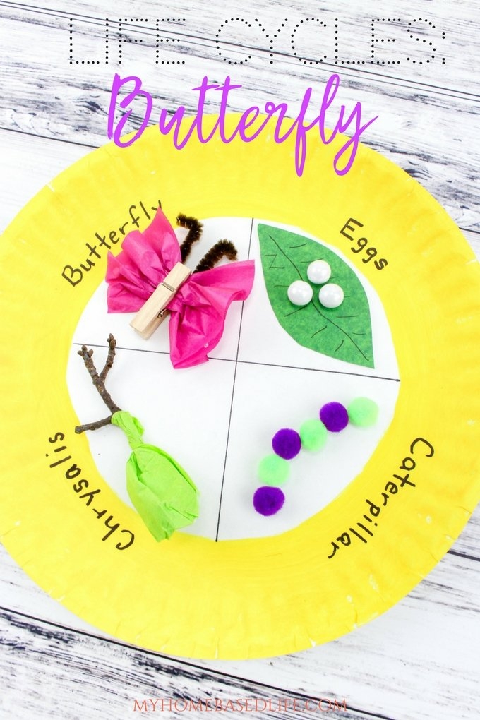 Butterfly Life Cycle Art Creative Crafts