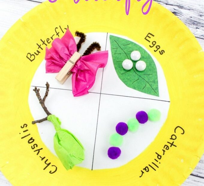 Butterfly Life Cycle Art Creative Crafts