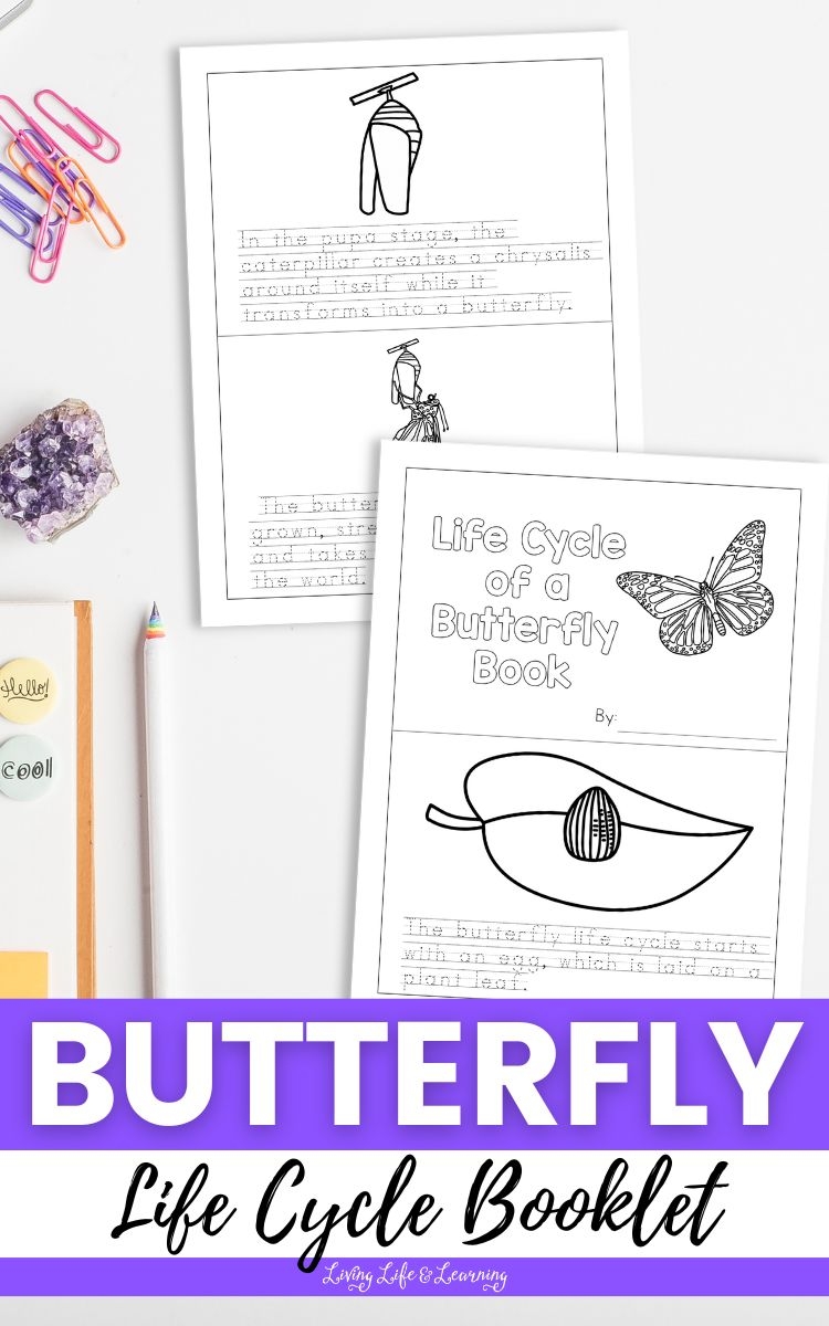 Butterfly Life Cycle Booklet Printables Butterfly Life Cycle Booklet Printables