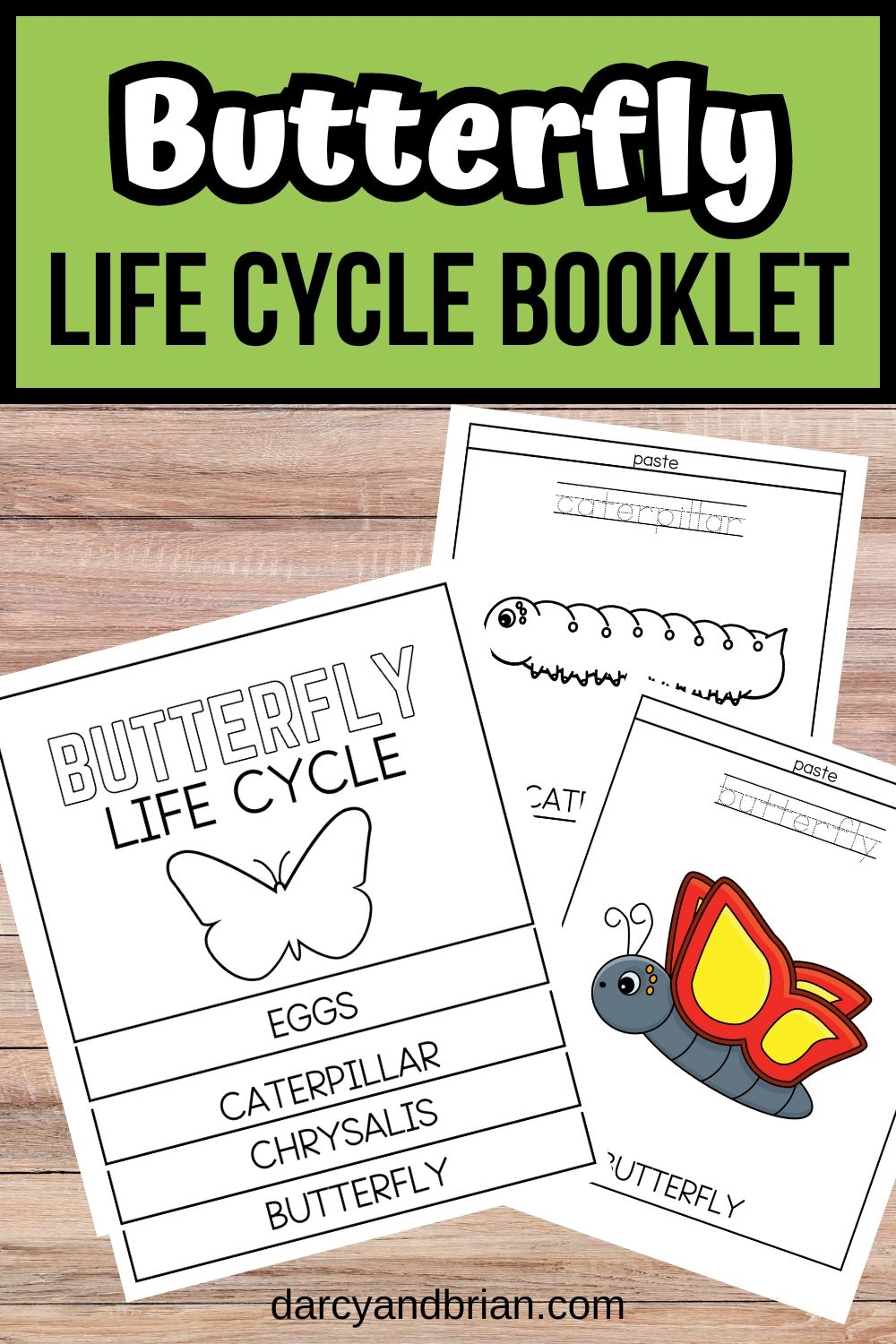 Butterfly Life Cycle Booklet Darcy And Brian Shop Butterfly Life Cycle Booklet Darcy And Brian Shop