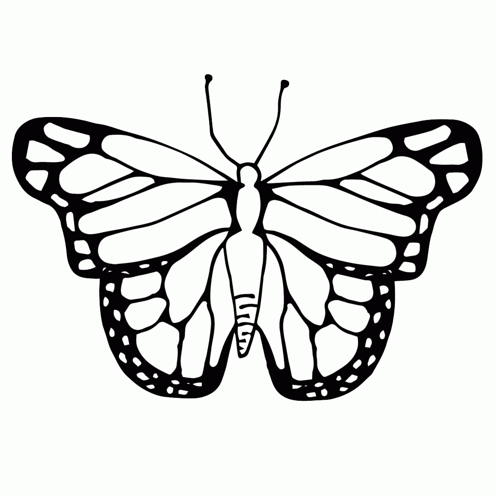 Butterfly Life Cycle Clipart Black And White Clipground