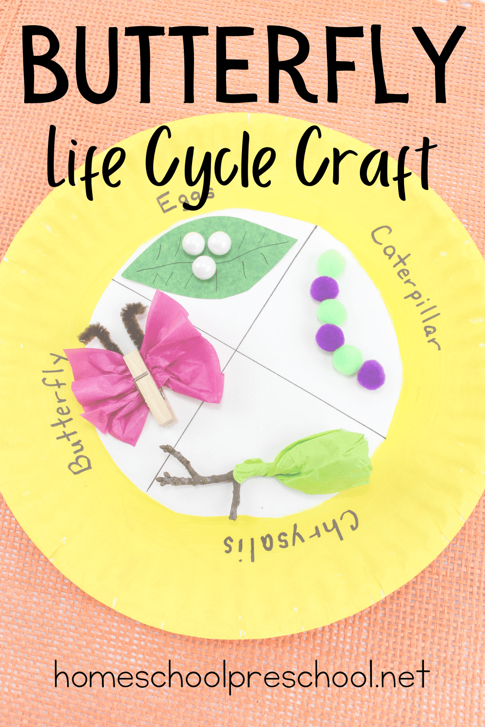 Life Cycle of Butterfly Craft Life Cycle of Butterfly Craft