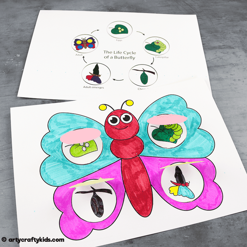 Butterfly Life Cycle Craft Arty Crafty Kids Butterfly Life Cycle Craft Arty Crafty Kids