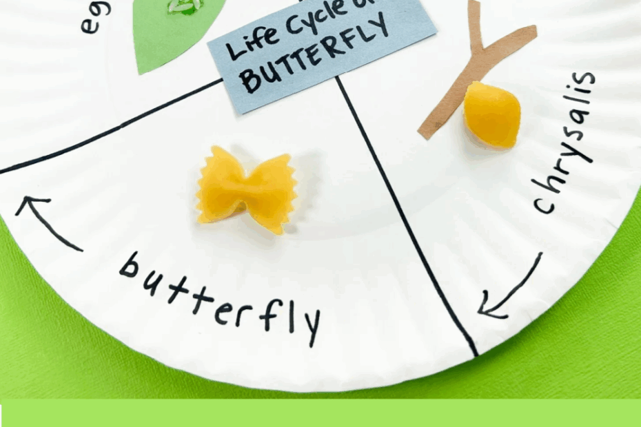 Butterfly Life Cycle Craft Creative EDventures