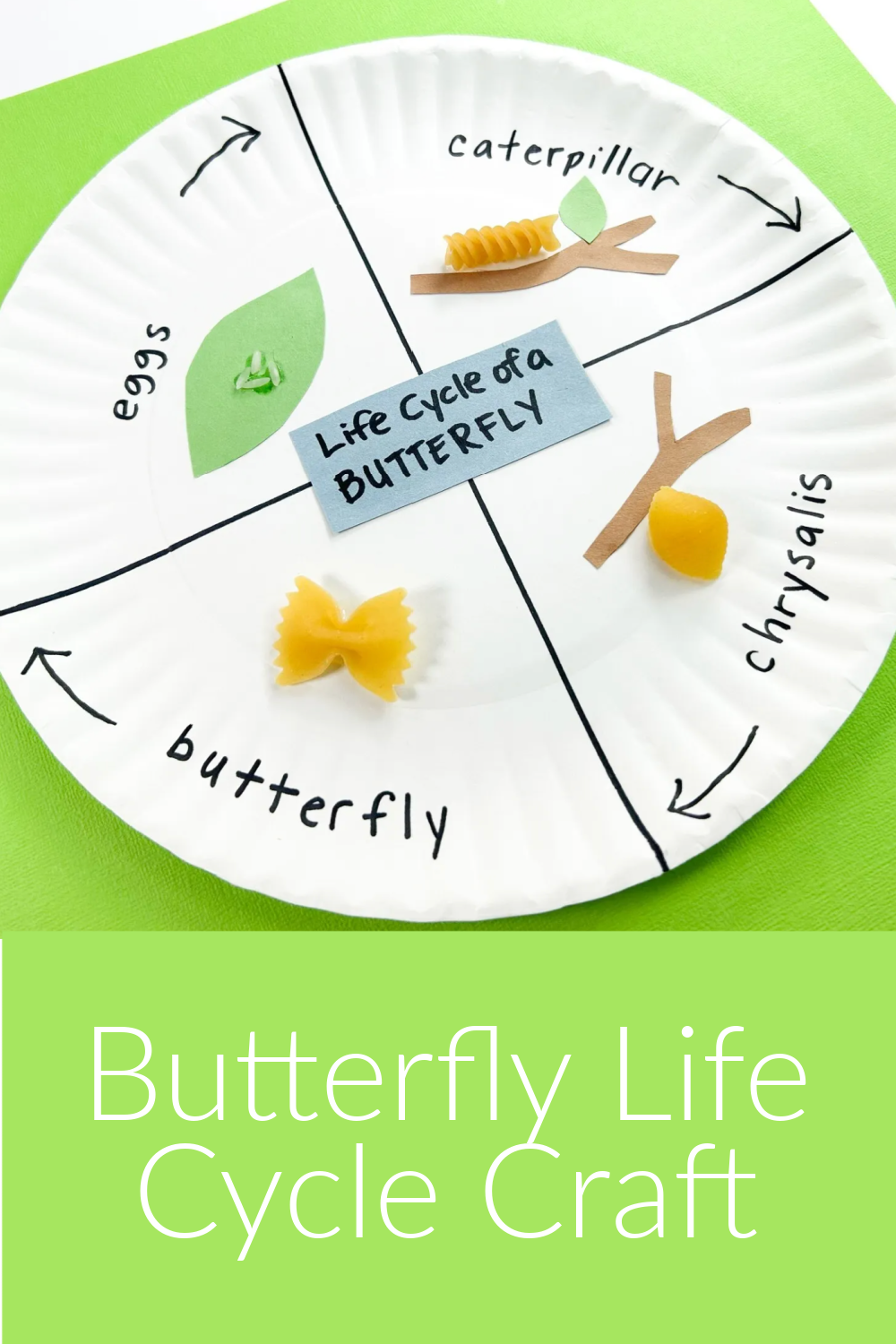 Butterfly Life Cycle Craft Creative EDventures Butterfly Life Cycle Craft Creative EDventures