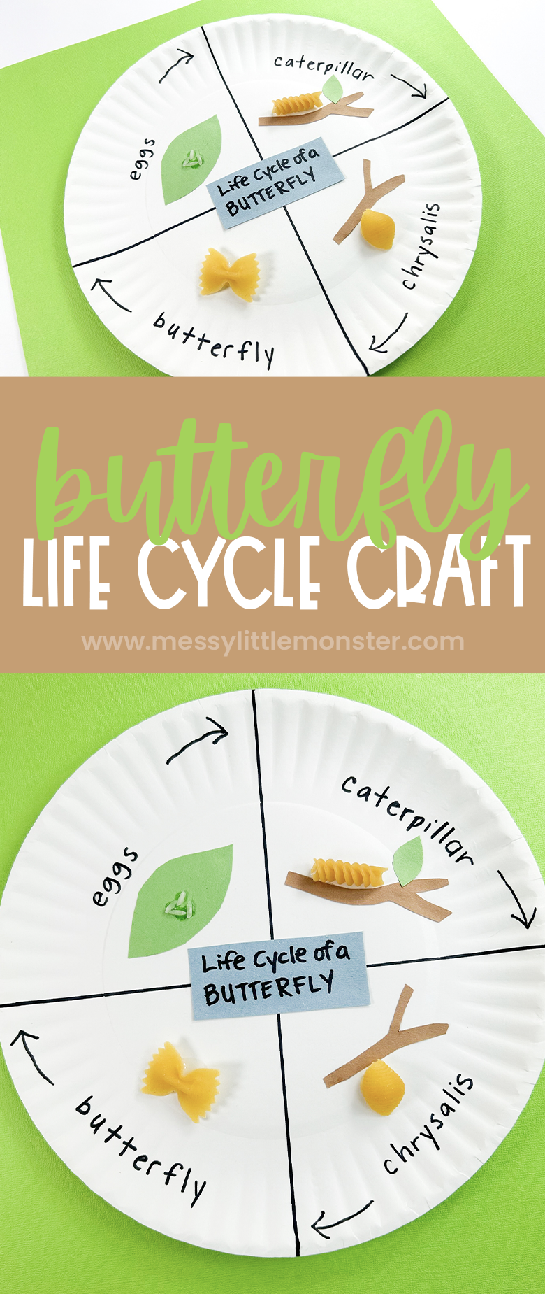 Butterfly Life Cycle Craft For Kids Butterfly Life Cycle Craft Life Butterfly Life Cycle Craft For Kids Butterfly Life Cycle Craft Life