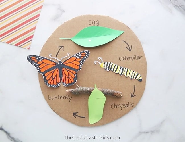 Butterfly Life Cycle Craft Printable Creative Crafts Butterfly Life Cycle Craft Printable Creative Crafts