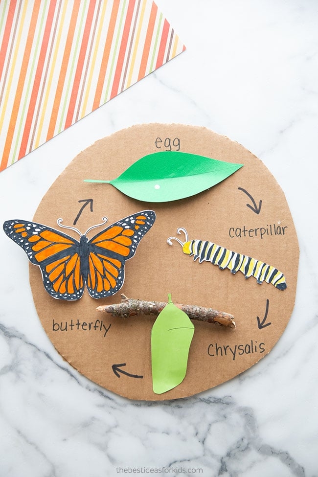 Butterfly Life Cycle Craft with Free Template The Best Ideas For Kids Butterfly Life Cycle Craft with Free Template The Best Ideas For Kids