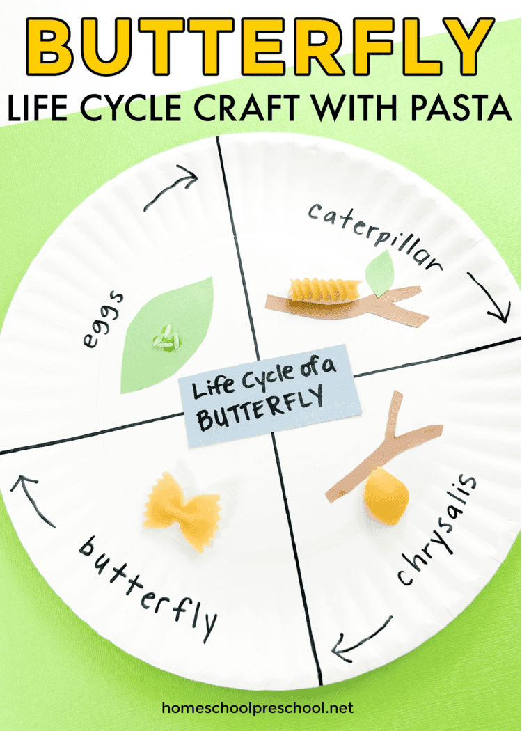 Butterfly Life Cycle Craft With Pasta Creative Learning Fun Butterfly Life Cycle Craft With Pasta Creative Learning Fun