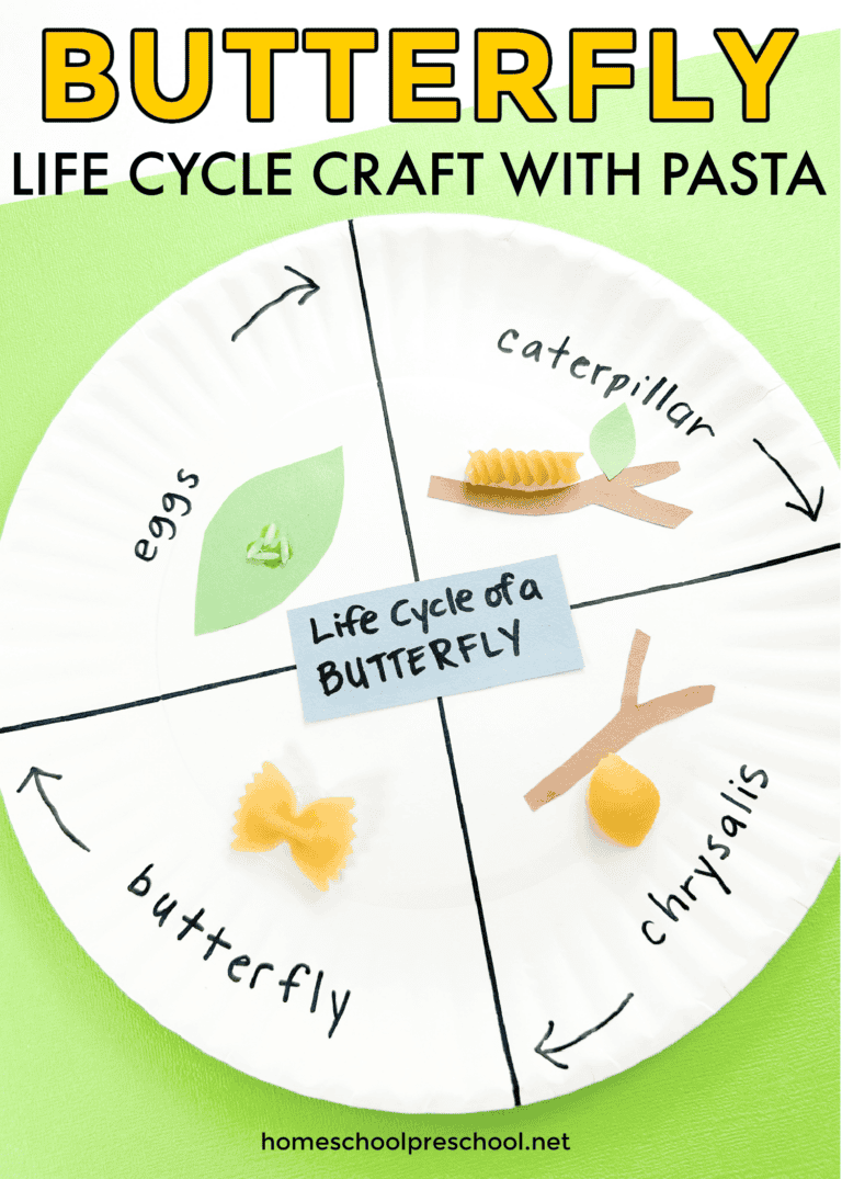 Butterfly Life Cycle Craft With Pasta Homeschool Preschool Butterfly Life Cycle Craft With Pasta Homeschool Preschool