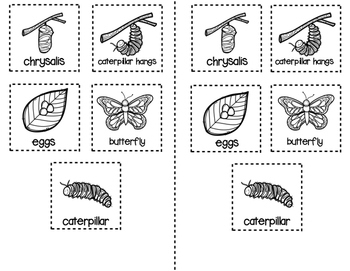 Butterfly Life Cycle Cut And Paste By PreKinders In Paradise TpT Butterfly Life Cycle Cut And Paste By PreKinders In Paradise TpT