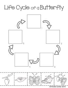 Butterfly Life Cycle Cut And Paste Worksheet By Lemons And Literacy Butterfly Life Cycle Cut And Paste Worksheet By Lemons And Literacy