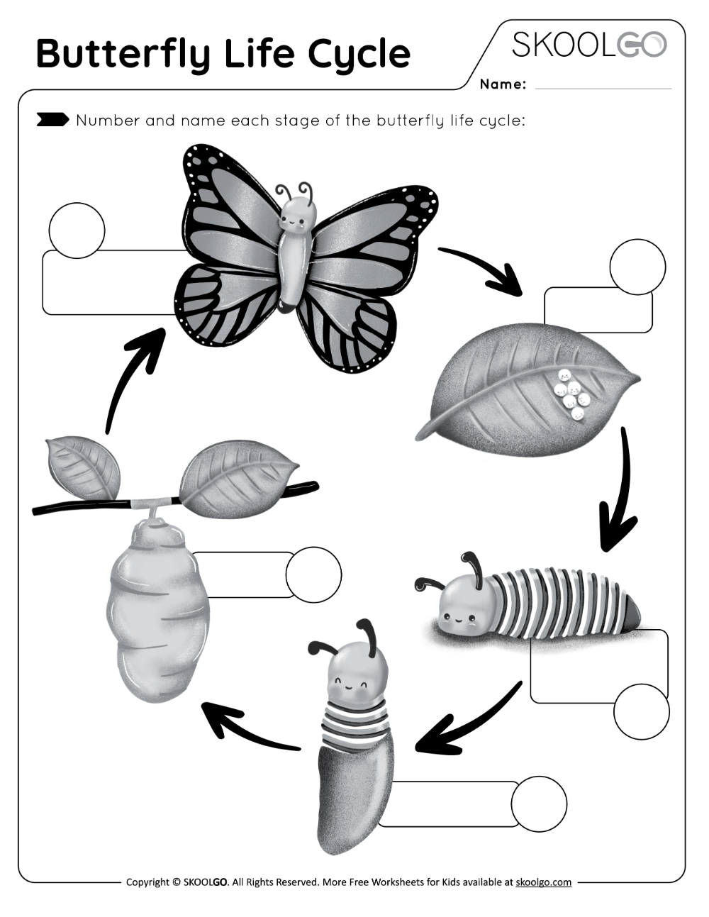 Butterfly Life Cycle Free Worksheet SKOOLGO Butterfly Body Parts Butterfly Life Cycle Free Worksheet SKOOLGO Butterfly Body Parts