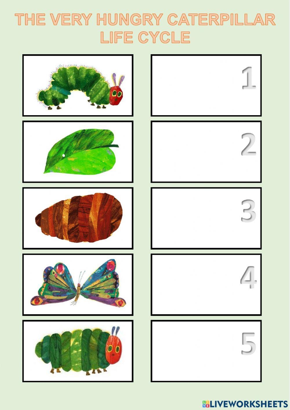 Butterfly Life Cycle Free Worksheet SKOOLGO Worksheets Library Butterfly Life Cycle Free Worksheet SKOOLGO Worksheets Library