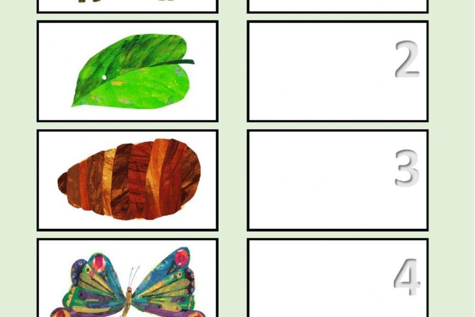 Butterfly Life Cycle Free Worksheet SKOOLGO Worksheets Library