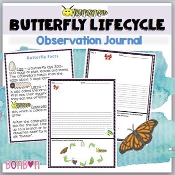 Butterfly Life Cycle Observation Journal By BonBon TpT Butterfly Life Cycle Observation Journal By BonBon TpT