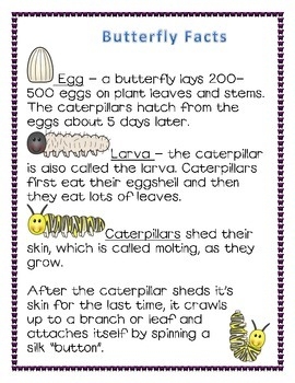 Butterfly Life Cycle Observation Journal By BonBon TpT Butterfly Life Cycle Observation Journal By BonBon TpT