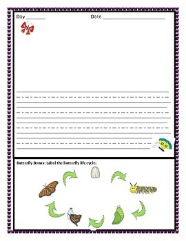 Butterfly Life Cycle Observation Journal By BonBon TpT Butterfly Life Cycle Observation Journal By BonBon TpT