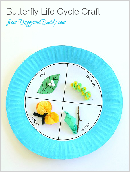 Butterfly Life Cycle Paper Plate Craft Fun Crafts Kids Butterfly Life Cycle Paper Plate Craft Fun Crafts Kids