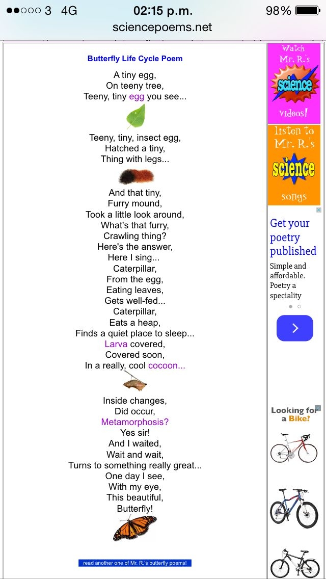 Butterfly Life Cycle Poem Butterfly Life Cycle Poem