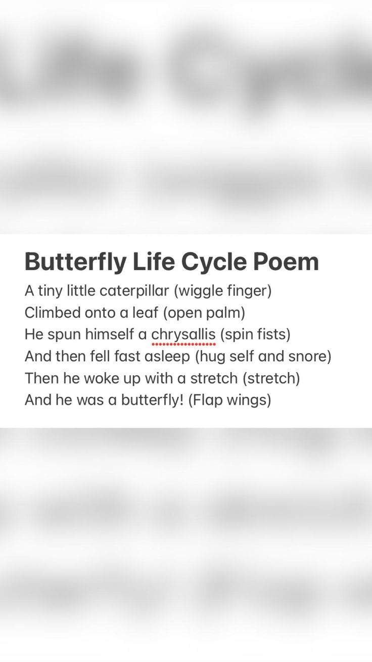Butterfly Life Cycle Poem Butterfly Life Cycle Poem