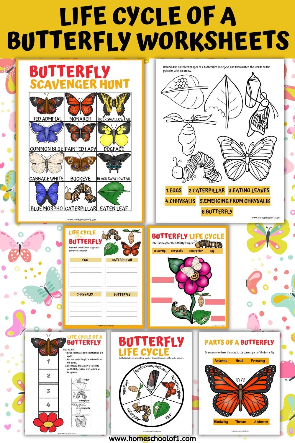 Butterfly Life Cycle Simple Drawing Butterfly Life Cycle Simple Drawing